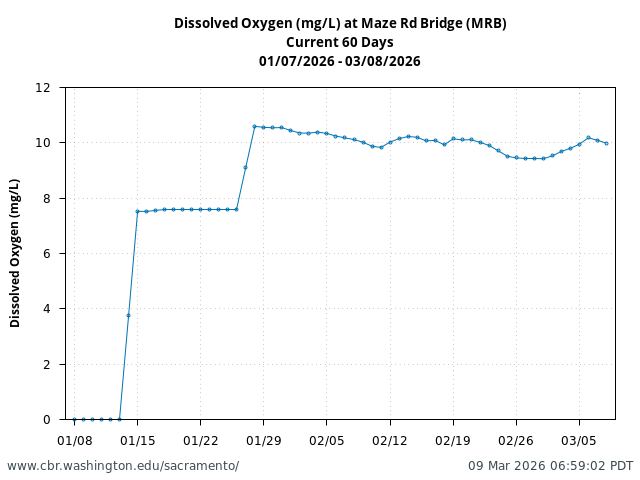 line plot of current 60 Dissolved Oxygen (mg/L) at Maze Rd Bridge (MRB)
