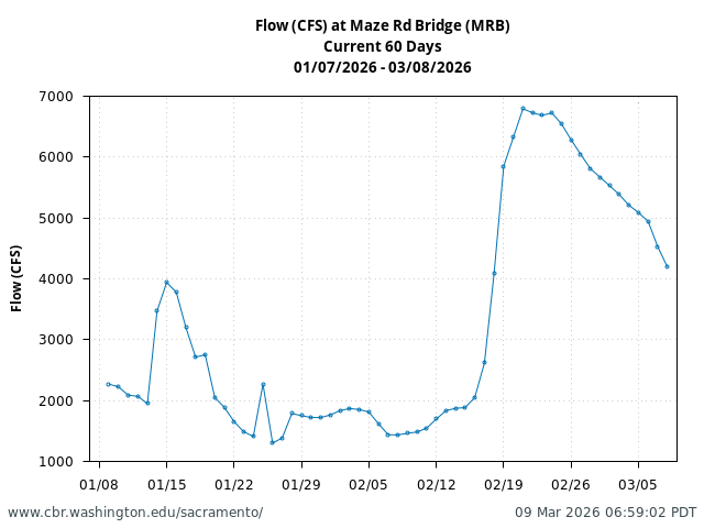line plot of current 60 Flow (CFS) at Maze Rd Bridge (MRB)