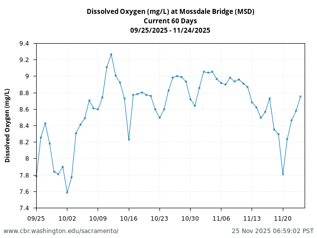 Plot of 60 Days current conditions Dissolved Oxygen (mg/L) at Mossdale Bridge (MSD)