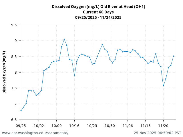 Plot of 60 Days current conditions Dissolved Oxygen (mg/L) Old River at Head (OH1)
