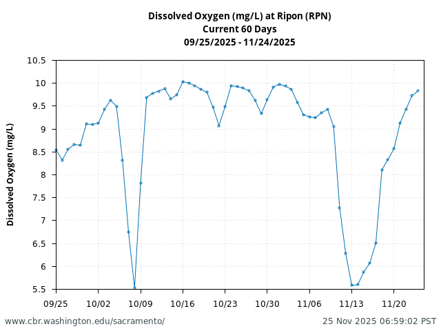 Plot of 60 Days current conditions Dissolved Oxygen (mg/L) at Ripon (RPN)
