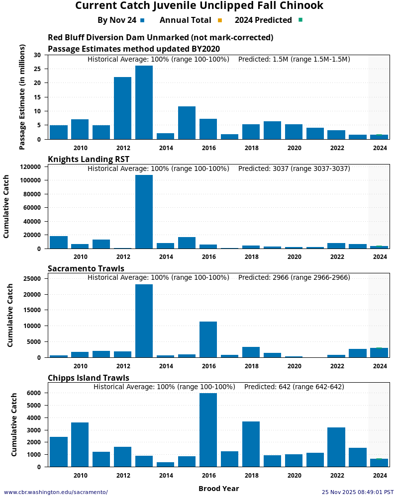 graph Current Catch Juvenile Unclipped Fall Chinook 15 Years Historical and Current Year at four Sacramento River locations: Red Bluff Diversion Dam, Knights Landing, Sacramento Trawls, and Chipps Island Trawls