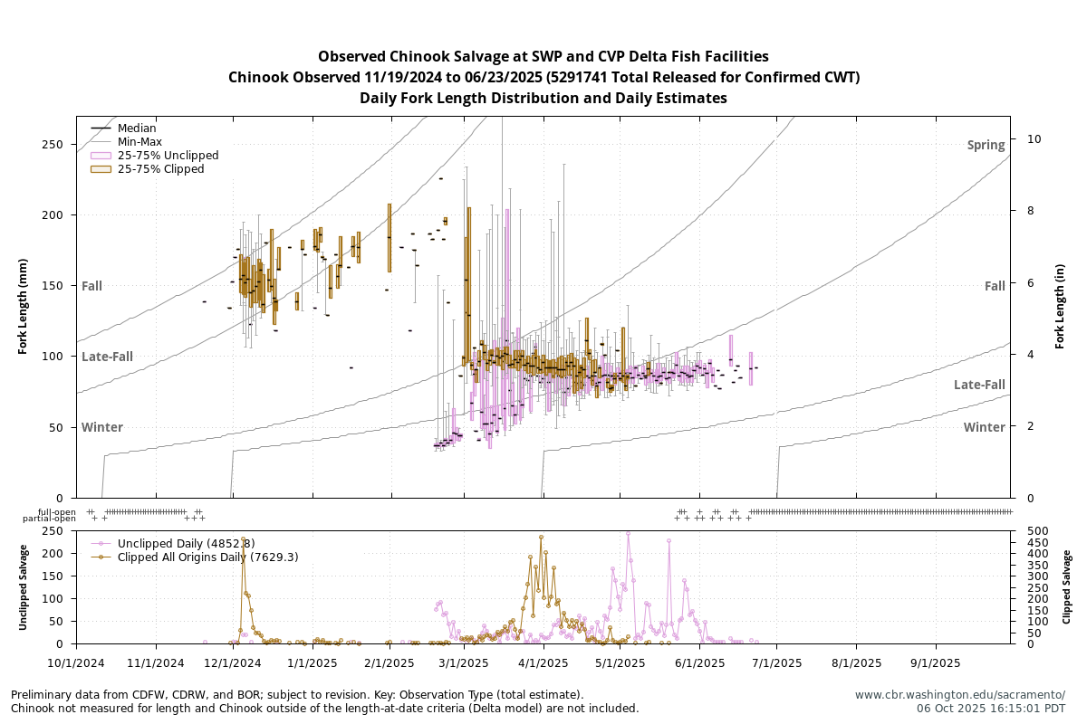 plot Observed Chinook Salvage at SWP and CVP Delta Fish Facilities, Chinook Observed 10/1/2025 to 9/30/2026 Daily Fork Length and Estimates