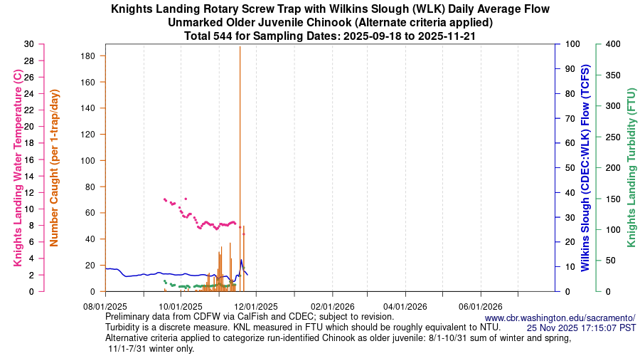 plot Central Valley Juvenile Salmonid Monitoring Knights Landing Rotary Screw Trap with Wilkins Slough (WLK) Daily Average Flow Unmarked Older Juvenile Chinook Sampling Dates 2025-09-18 to 2025-11-21