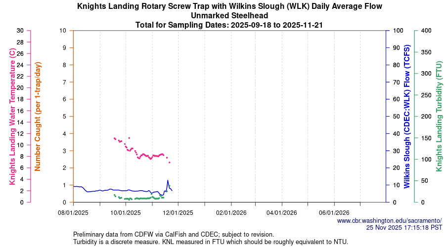 plot Central Valley Juvenile Salmonid Monitoring Knights Landing Rotary Screw Trap with Wilkins Slough (WLK) Daily Average Flow Unmarked Steelhead Sampling Dates 2025-09-18 to 2025-11-21