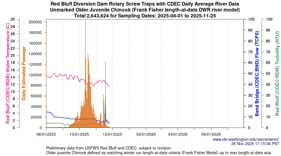 plot Central Valley Juvenile Salmonid Monitoring Red Bluff Diversion Dam Rotary Screw Traps with CDEC Daily Average River Data Unmarked Older Juvenile Chinook Sampling Dates 2025-08-01 to 2025-11-18