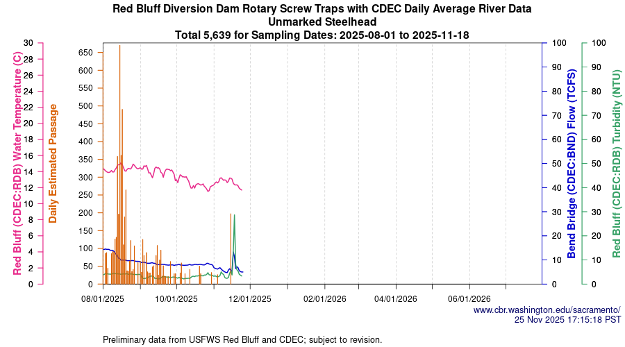 plot Central Valley Juvenile Salmonid Monitoring Red Bluff Diversion Dam Rotary Screw Traps with CDEC Daily Average River Data Unmarked Steelhead Sampling Dates 2025-08-01 to 2025-11-18