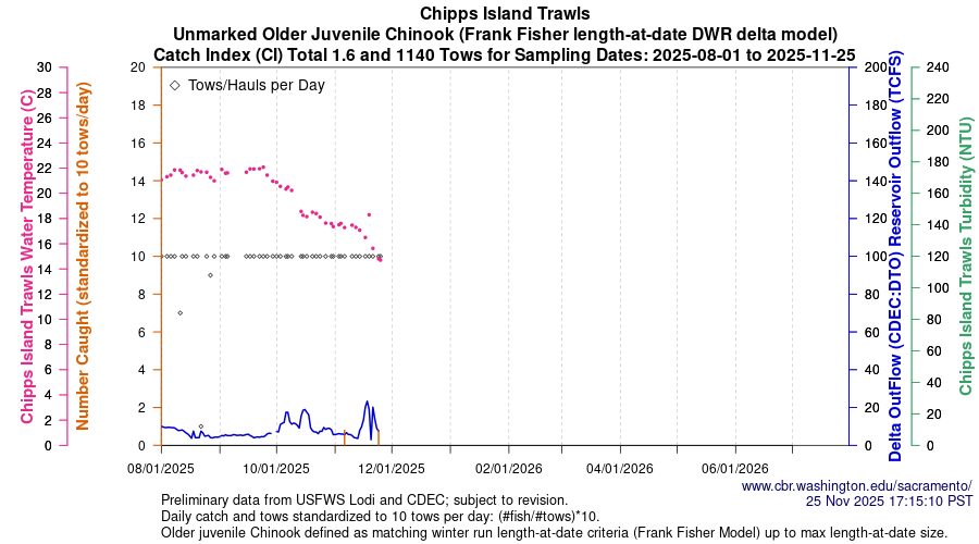 plot Central Valley Juvenile Salmonid Monitoring Chipps Island Trawls Unmarked Older Juvenile Chinook Sampling Dates 2025-08-01 to 2025-11-25