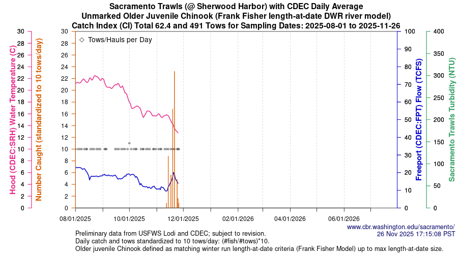 plot Central Valley Juvenile Salmonid Monitoring Sacramento Trawls (@ Sherwood Harbor) with CDEC Daily Average Unmarked Older Juvenile Chinook Sampling Dates 2025-08-01 to 2025-11-24