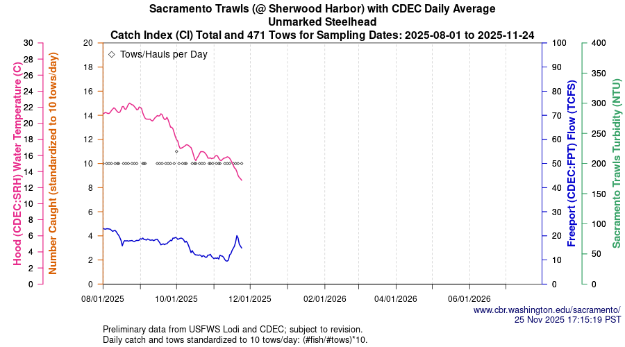 plot Central Valley Juvenile Salmonid Monitoring Sacramento Trawls (@ Sherwood Harbor) with CDEC Daily Average Unmarked Steelhead Sampling Dates 2025-08-01 to 2025-11-24
