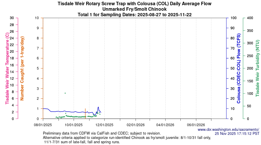 plot Central Valley Juvenile Salmonid Monitoring Tisdale Weir Rotary Screw Trap with Colousa (COL) Daily Average Flow Unmarked Fry/Smolt Chinook Sampling Dates 2025-08-27 to 2025-11-22