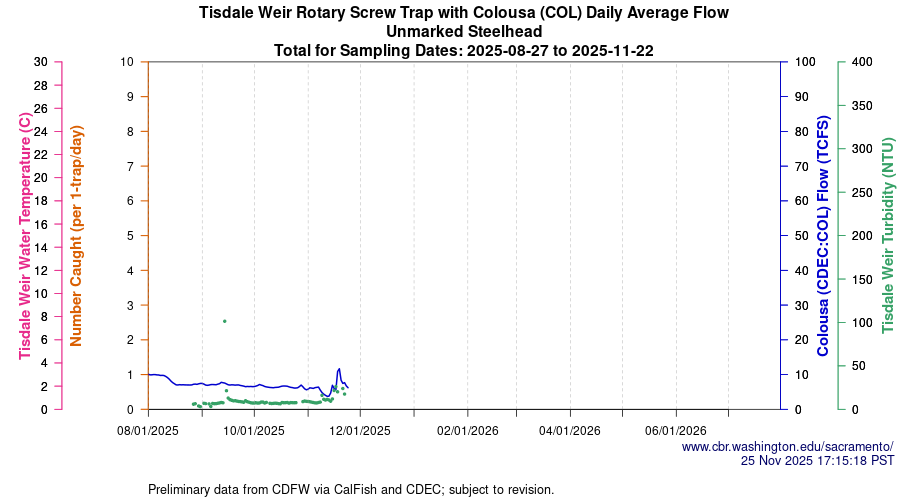 plot Central Valley Juvenile Salmonid Monitoring Tisdale Weir Rotary Screw Trap with Colousa (COL) Daily Average Flow Unmarked Steelhead Sampling Dates 2025-08-27 to 2025-11-22