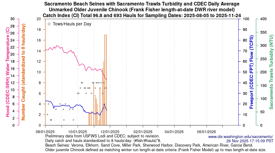 plot Central Valley Juvenile Salmonid Monitoring Verona, Elkhorn, Sand Cove, Miller Park, Sherwood Harbor, Discovery Park, American River, and Garcia Bend Beach Seines Unmarked Older Juvenile Chinook Sampling Dates 2025-08-05 to 2025-11-24