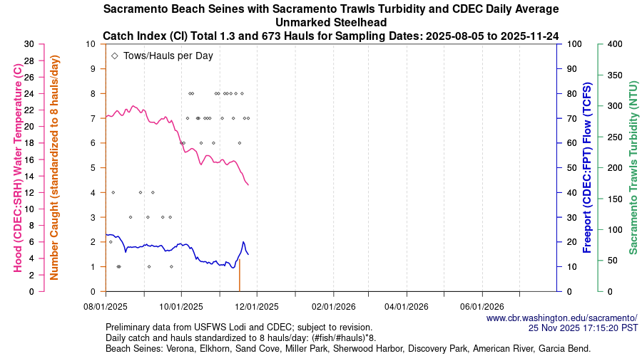 plot Central Valley Juvenile Salmonid Monitoring Verona, Elkhorn, Sand Cove, Miller Park, Sherwood Harbor, Discovery Park, American River, and Garcia Bend Beach Seines Unmarked Steelhead Sampling Dates 2025-08-05 to 2025-11-24