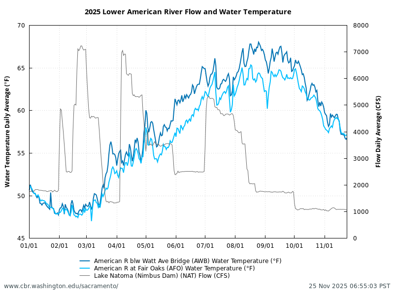 Line chart for 2025 Lower American River daily average flow at Lake Natoma Nimbus Dam (NAT) and water temperatures, below Watt Ave Bridge (AWB), and at Fair Oaks (AFO). Water temperatures (in degrees Fahrenheit) and flow in cubic feet per second (CFS). Data retrieved from CDEC; figure generated by SacPAS.